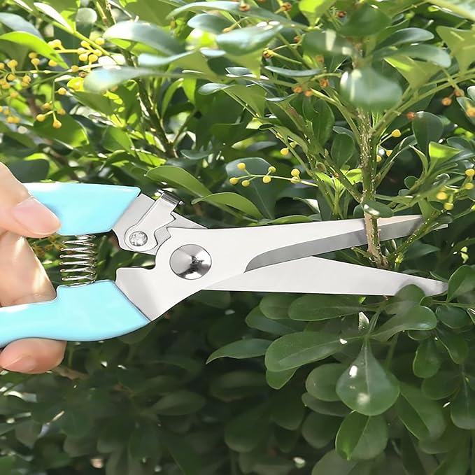 Premium Garden Shears, Pruning Scissors Gardening Tools, Pruners For Flower, Bushes, Rose And Fruit Tree, Use For Florist, Yard And Orchard the Plant Clippers, Sharp White Steel Anvil Snips - Bloomnest