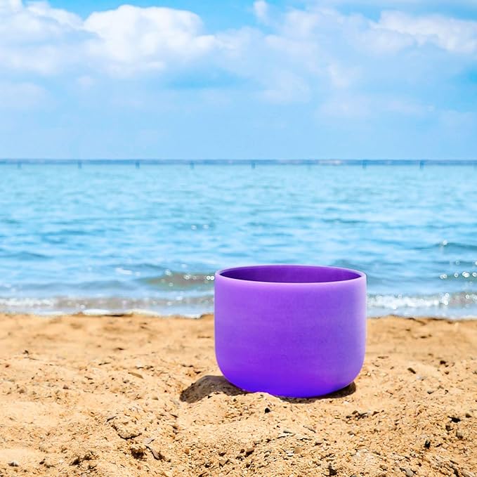 TOPFUND Purple B Note Crystal Singing Bowl Crown Chakra 8 inch with Heavy Duty Carrying Case and Suede Mallet - Bloomnest
