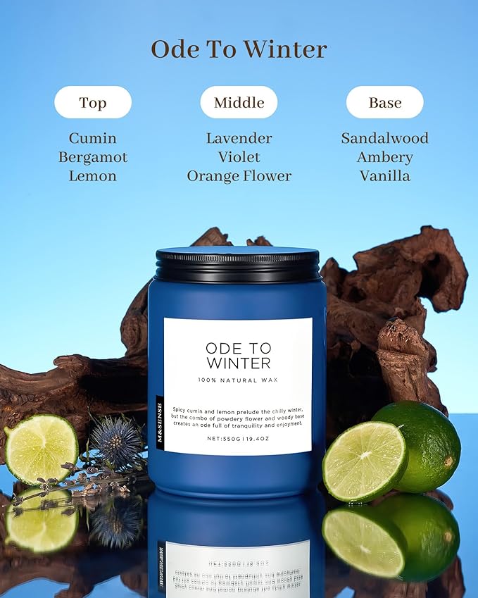 M&SENSE Ode to Winter Soy Candles Strong Scented, 2 Wick Jar Candle 19.4oz 110 Hour Long Lasting, Lavender Sandalwood Organic Natural Aromatherapy Candle Gifts Bedroom Bathroom Home Decor - Bloomnest