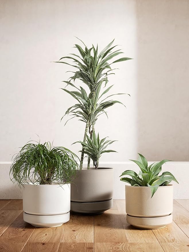 LE TAUCI Large 14 Inch Plant Pot with Saucer | Ceramic Outdoor & Indoor Big Planter Pot | Drainage Hole, Mesh Pad & Plug | Unglazed Porous | Modern Minimalist for Home and Patio – Speckled Oat - Bloomnest