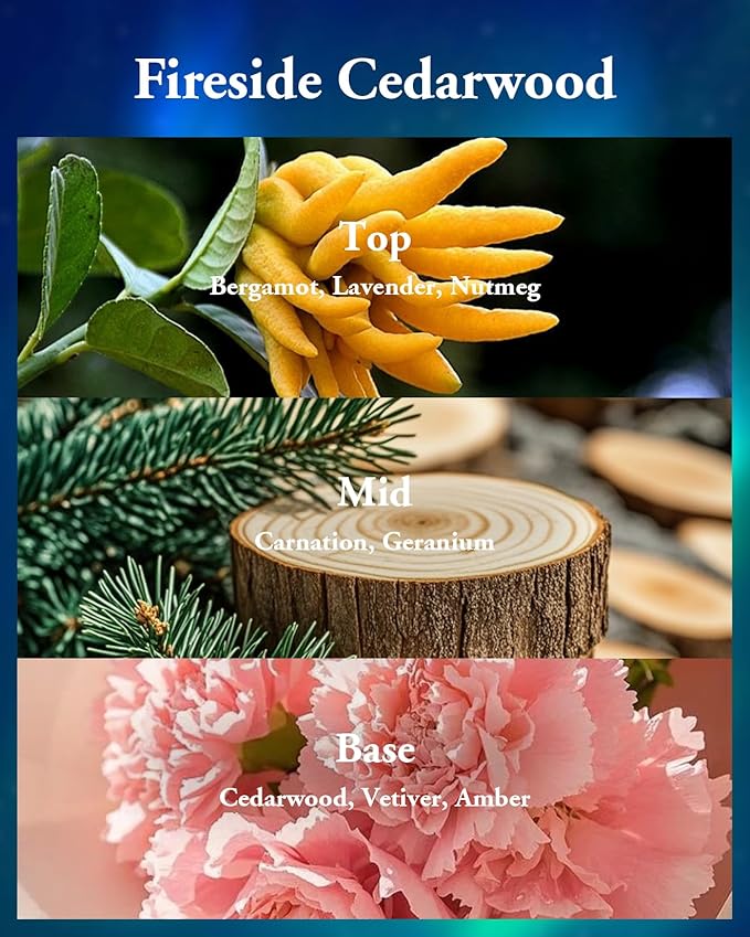 M&SENSE Fireside Cedarwood Scented,Soy Wax Candle,2 Wick 12.7oz Jar Candle,75 Hour Long Lasting Slow Burning, Soy Organic Wax Non Toxic,Aromatherapy Candle Gift for Christmas - Bloomnest