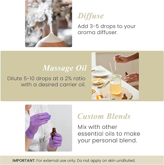 Handcraft Blends Vanilla Essential Oil – 1 Fl Oz – Pure and Natural Mix – Premium Grade Essential Oil for Diffuser and Aromatherapy, Skin, Massage, Candle and Soap Making Fragrance - Bloomnest