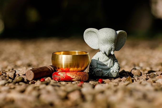 Tibetan Singing Bowl Set – Handcrafted Meditation Bowl from Nepal with Cushion, Wooden Striker & Elephant Figurine –Authentic Nepal Sound Meditation Bowl Small Chakra Sound Healing Gift Bloomnest