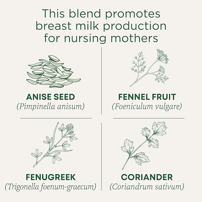Traditional Medicinals Organic, Mother's Milk Tea - Supports Breastfeeding & Lactation with Fennel and Fenugreek - Kosher, Non-GMO, Caffeine-Free, Compostable - 16 Tea Bags - Bloomnest