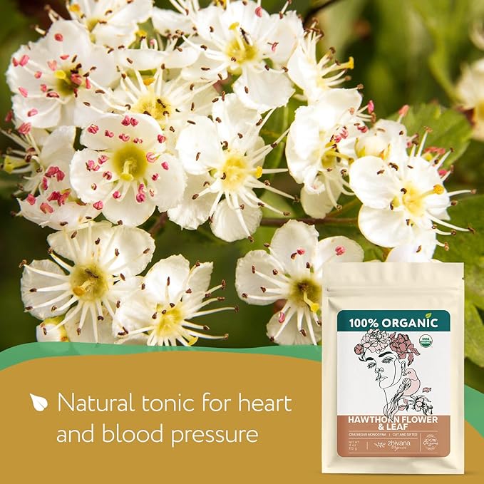 Hawthorn Leaf & Flower Tea Organic (4oz.) - Loose Hawthorne Tea for Blood Pressure Balance, Cardiovascular Health, Heart Support - Espino Blanco Hoja - Bloomnest