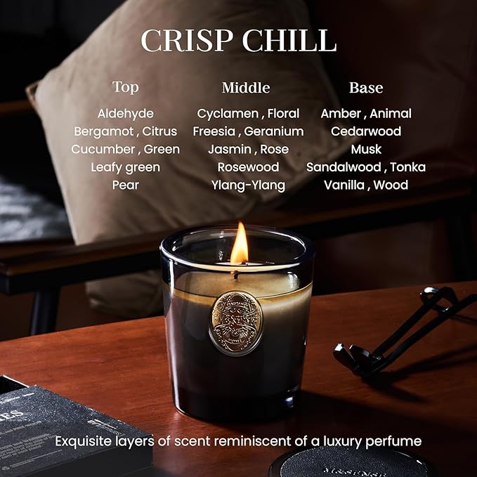 M&SENSE Natural Soy Candle | Crisp Chill & Black | 9.2 oz, 50H Burn Time | Luxury Scented Candle for Him,for Relaxation, Gifting, Home Décor | Ideal for Bedroom, Office, Party Ambiance - Bloomnest