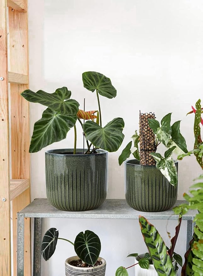 LE TAUCI Fluted Ceramic Planters Set of 3 – 8.3/7 / 5.7 in Dark Olive Reactive Cylinder Indoor Plant Pots with Drainage Plug & Mesh, Glossy Stoneware Flower Pots for Succulents Herbs - Bloomnest