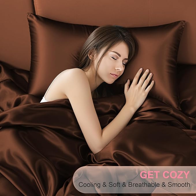 Mulberry Silk Pillow Cases 2 Pack Queen Size 20x30 Inches with Hidden Zipper, Ultra Smooth and Soft Breathable Cooling Silk Satin Pillowcase Set of 2, Better for Hair and Skin, Gifts for Women Men - Bloomnest
