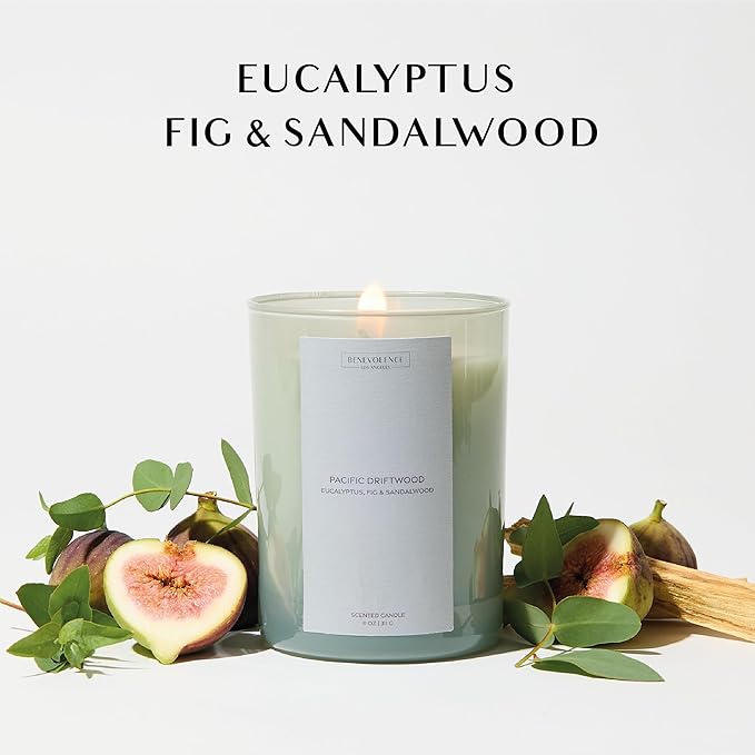 Eucalyptus Fig & Sandalwood Scented Candle | 11oz, 60 Hour Burn | Natural Soy Wax, Cotton Wick | Holiday Candles | Christmas Scented Candles for Home | Sun-Kissed Collection - Pacific Driftwood - Bloomnest