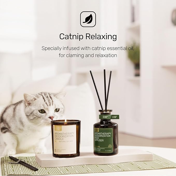 Odor Eliminating Candle, White Rose Scented Candle, Pet-Friendly Soy Candles, 60 Hours, 7 oz - Bloomnest