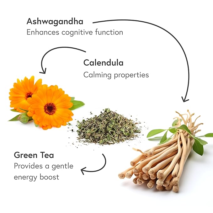 Fabula Focus Herbal Tea: Organic Green Tea, Calendula, Apple, Ashwagandha, Improving Focus and Mental Alertness, 20 sachets - Bloomnest