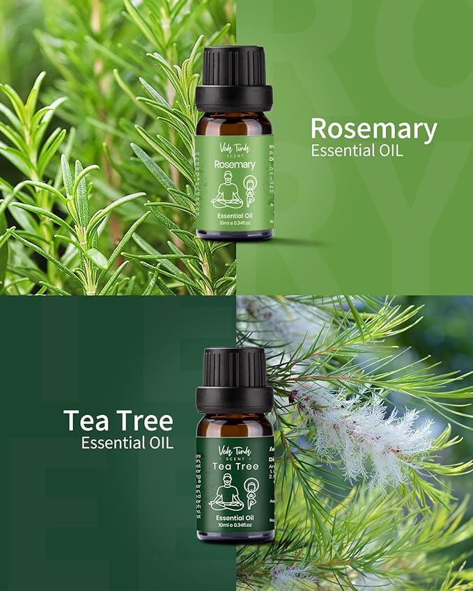 VTS Essential Oils Set (6 x 10ml) - Lavender, Peppermint, Eucalyptus, Tea Tree, Geranium, Rosemary, Aromatherapy Oils Gift Set for Home Diffusers, Skin & Hair Care, Soap & Candle Making, Humidifiers - Bloomnest