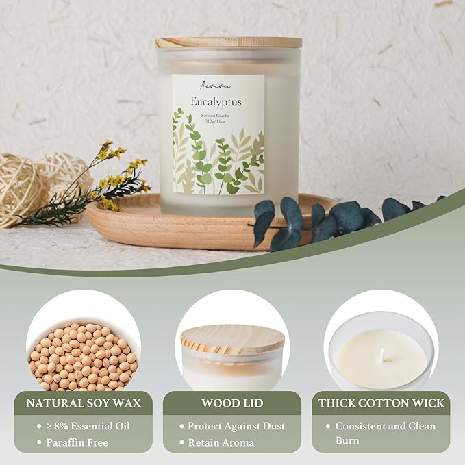 Eucalyptus Scented Candle, 11oz 60 Hour Burn, Natural Soy Wax with Thick Cotton Wick, Highly Scented Aromatherapy Candle for Stress Relief & Meditation, Gifts for Women & Men - Bloomnest