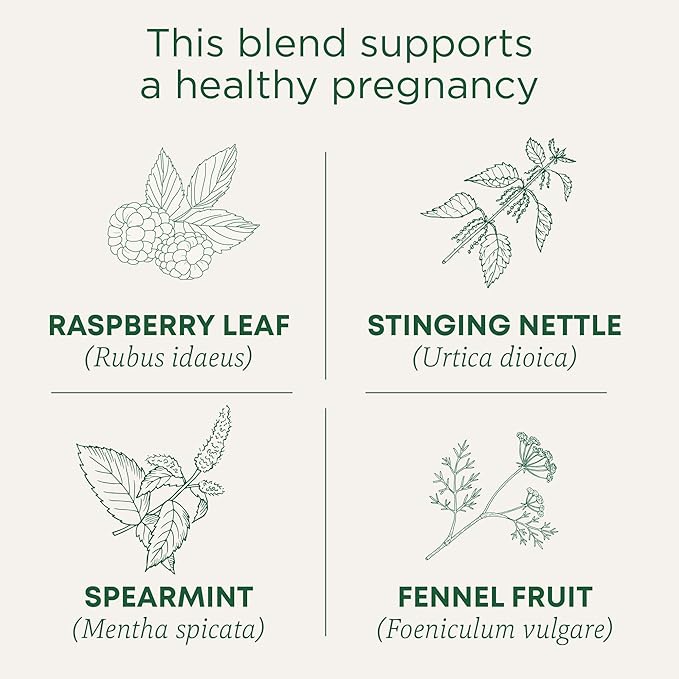 Traditional Medicinals Tea, Organic Pregnancy Tea, Supports a Healthy Pregnancy, Raspberry Leaf and Spearmint, 16 Tea Bags - Bloomnest