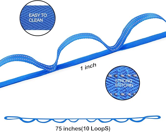 Premium Durable Stretch Straps with Loops, Stretching Strap for Physical Therapy, Multi-Loop Yoga Strap Fitness Exercise Strap for Yoga, Pilates, Dance, Flexibility&Exercise - Bloomnest
