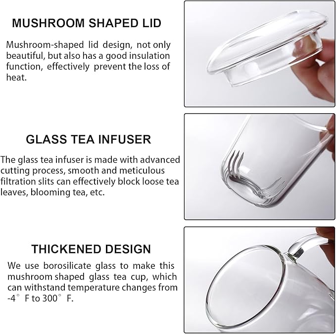Lezero Glass Tea Cup with Strainer and Lid Gift Kit, Borosilicate Infuser Mugs with Filter for Blooming & Loose Leaf Tea, Heat Resistance, Lead-free, Microwave & Dishwasher Safe, 17oz - Bloomnest