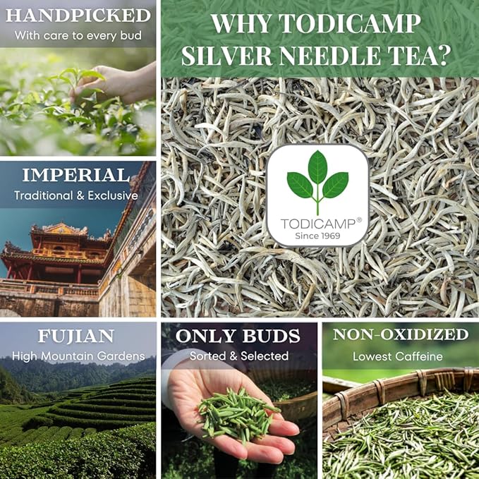 TODICAMP Premium Silver Needle Tea - 1 lb of Premium White Tea Loose Leaf - Bloomnest
