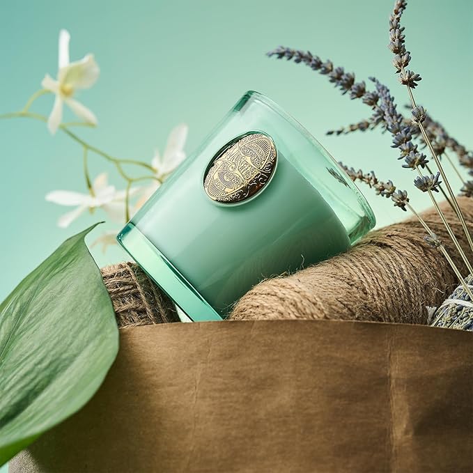M&SENSE Natural Aromatherapy Soy Candle | Eucalyptus Mint & Blue | 9.2 oz, 50H Burn Time | Luxury Scented Candle for Relaxation, Gifting, Home Décor | Ideal for Bedroom, Office, Party Ambiance - Bloomnest