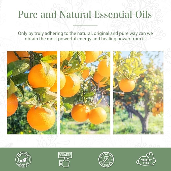 Sweet Orange 3.38fl.oz Essential Oil, PHATOIL Aromatherapy Essential Oils for Diffuser, Humidifier, Perfect for DIY Soap, Candle, Bath Bombs Making(100ml) - Bloomnest