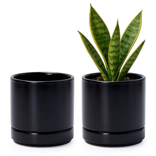 D'vine Dev Set of 2 Plants Pot, 4.7 Inch Ceramic Planter Pot for Plants with Drainage Hole and Saucer, Black, 94-V-B-2 - Bloomnest
