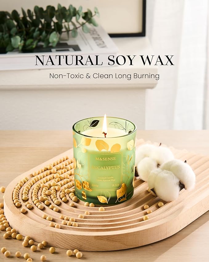 M&SENSE Eucalyptus Candles,Vegan Soy,8.1oz 42-Hour Slow Burning Time, Scented Candles for Relaxing Calming, Fall Winter Thanksgiving Christmas Housewarming Gifts for Women & Men - Bloomnest