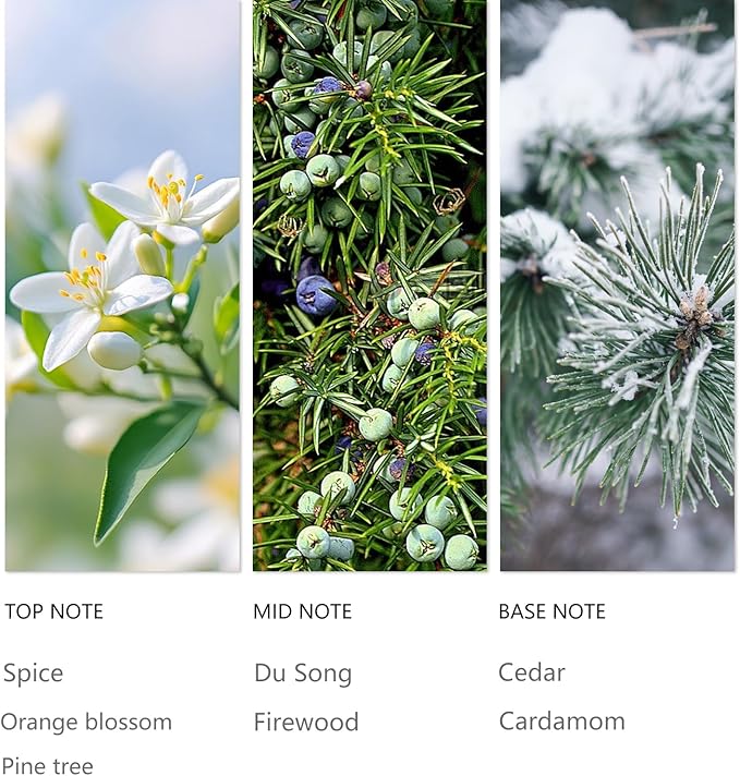 Hotel Waterless Diffuser Oil Winter Pine, Essential Scent Oil Usage Cold Air Waterless Diffuser, Luxury Scents Oils Fragrance Bottle120 ML Home Natural Flavour - Bloomnest