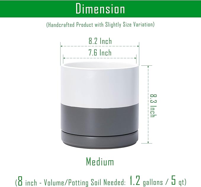 D'vine Dev Set of 2 Plants Pots, 8.2 Inch Ceramic Planter Pot for Plants with Drainage Hole and Saucer, White/Speckled Grey, 94-V-D-6 - Bloomnest