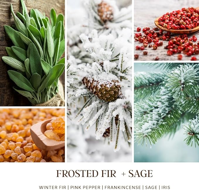SENSE ISLAND Frosted Fir and Sage Scented Candle for Home Scented, Natural Soy Wax 50 Hrs Burn Time Highly Scented Candle Gifts for Women and Men - Bloomnest