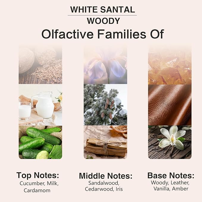 PHATOIL 3.38FL.OZ White Santal Fragrance Oils for Aromatherapy, Essential Oils for Diffusers for Home, Perfect for Diffuser, Yoga, Skin Care, DIY Candle and Soap Making - 100ml - Bloomnest