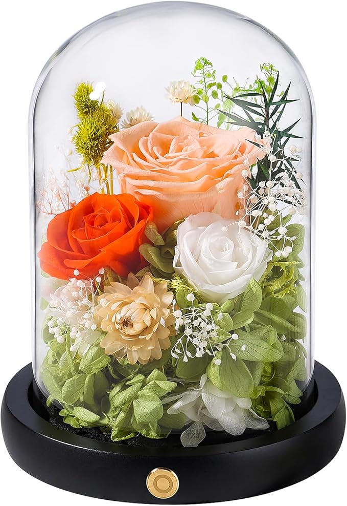 FIACO Preserved Flowers Rose Gifts for Women, Birthday Gifts Eternal Rose in Glass Dome Long-Lasting Real Forever Flowers Gifts for Mom Grandma Wife Girlfriend - Bloomnest