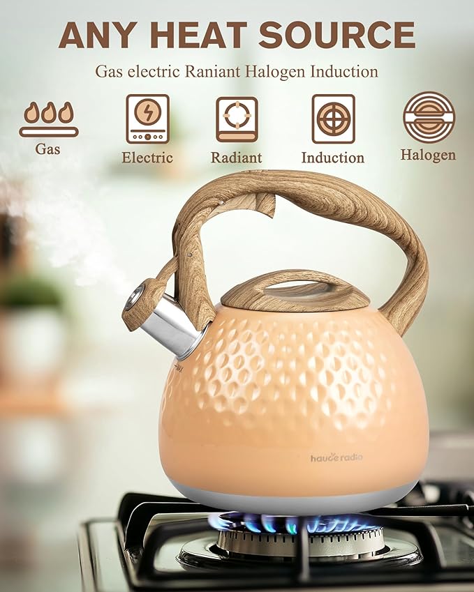 Tea Kettle,2.5 Quart Stovetop Tea Kettles Loud Whistle,Food Grade Stainless Steel Water kettles for Stove Top with Anti-hot Ergonomic Handle,Suitable for All Heat Sources - Bloomnest