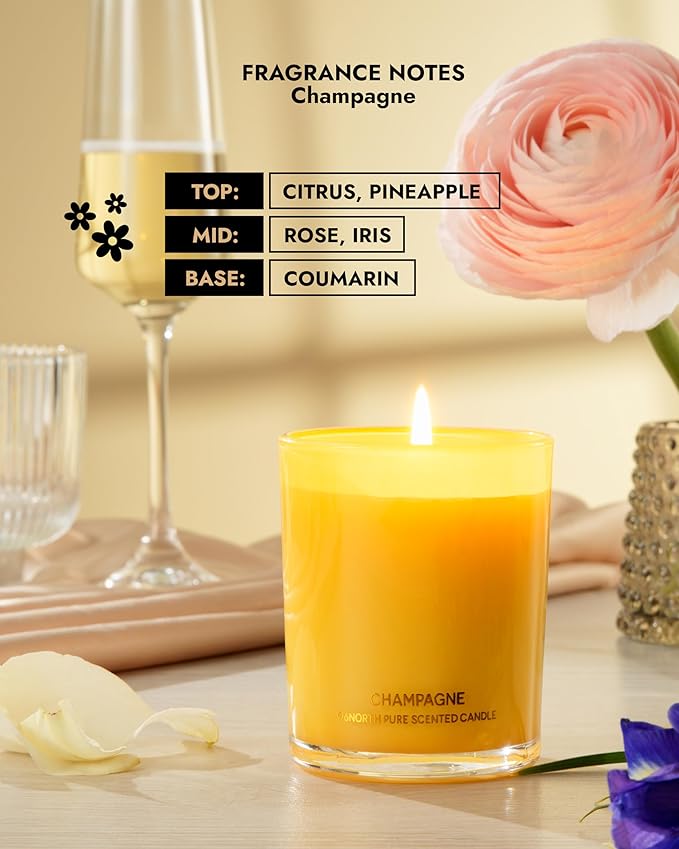 96NORTH | Pure Champagne Candle | 100% Natural Soy Wax | One Wick Jar Candle | Natural Fragrance Technology | Non Toxic | Up to 35 Hours Burning Time | Aromatherapy Gift for Men and Women - Bloomnest