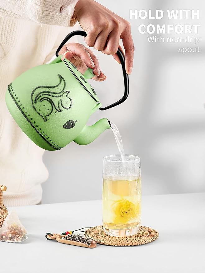 Toptier Teapot with Removable Infuser, Cast Iron Tea Kettle Stovetop Safe, Squirrel Design Tea Pot Coated with Enameled Interior for 32 Ounce (950 ml), Bright Green - Bloomnest