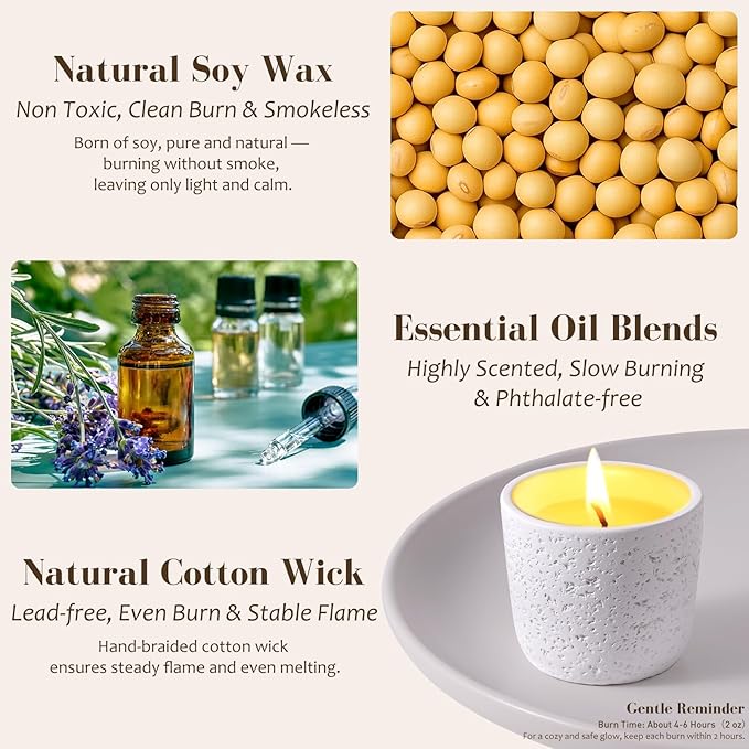 Viyffo Scented Candle Set of 6, Natural Soy Wax with Essential Oils, Long Lasting Aromatherapy Candles in Small Ceramic Jars, Perfect for Home, Relaxation, Meditation, Bath & Holiday Gifts - Bloomnest