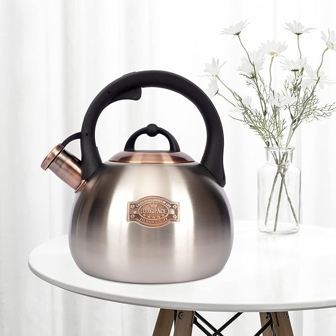 3.1 Quart Teal Whistling Tea Kettle for Stove Top, Food Grade Stainless Steel - Bloomnest