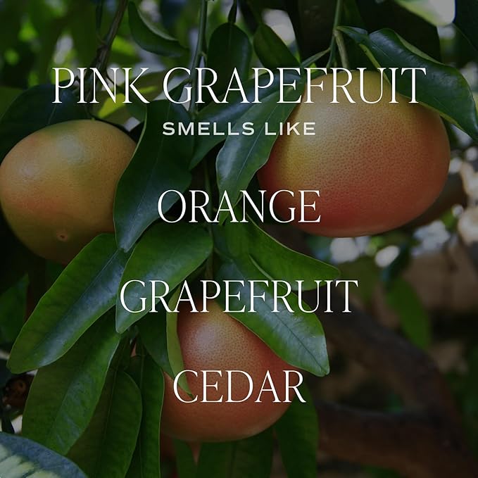 Sweet Water Decor Pink Grapefruit Reed Diffuser – Room Decor Aesthetic with Long-Lasting Premium Fragrance of Grapefruit, Orange, Strawberry, Jasmine, and Cedar for 4 Months – Ideal for Home Decor - Bloomnest