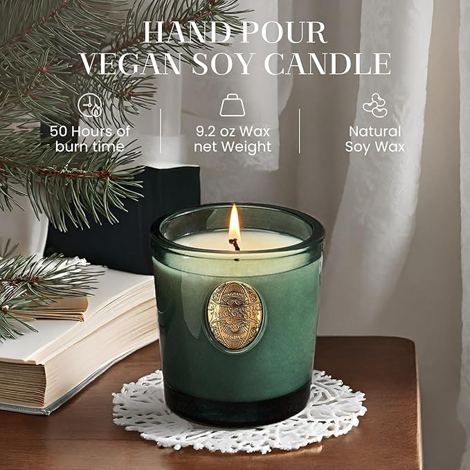 M&SENSE Natural Soy Candle | Evergreen Pine & Emerald Green | 9.2 oz, 50H Burn Time | Luxury Scented Candle for Relaxation, Gifting, Home Décor | Ideal for Bedroom, Office, Party Ambiance - Bloomnest