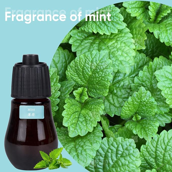 HAPPTWS 3-Pack Essential Oil Kit - Diffuser Oil Use to HAPPTWS Waterless Diffuser Mint/Tea Tree/Lavender - Bloomnest