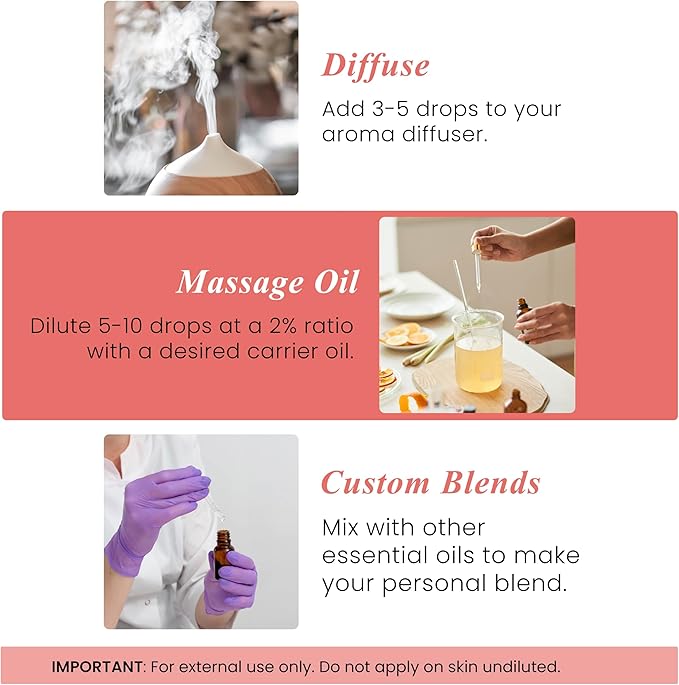 Handcraft Blends Grapefruit Essential Oil – 1 Fl Oz – 100% Pure and Natural – Premium Grade Essential Oil for Diffuser and Aromatherapy, Skin, Massage, Candle and Soap Making Fragrance - Bloomnest