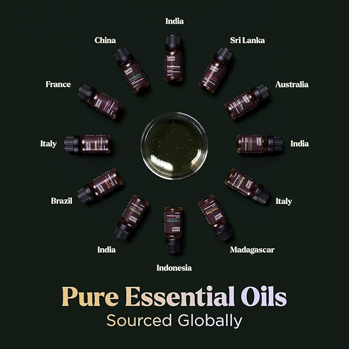 Lagunamoon Essential Oils Set - 12 Piece Premium Grade Home Essentials Oils - for Diffusers, Fragrance, Scents for Candle Making - Natural Aromatherapy Oils for Cars & Home Products, Room Sprays - Bloomnest