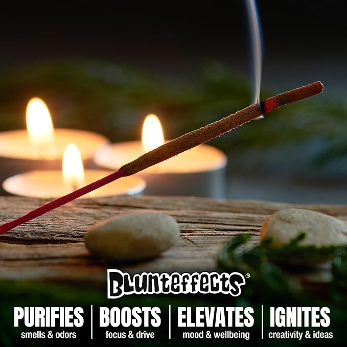 Blunteffects Hand-Dipped Incense Sticks - Premium 144-Pack Variety Set, 12 Different Scents, 11" Long, USA-Made Aromatherapy with Long Burn Time (12 Pack, 144 Total Sticks) Blunteffects