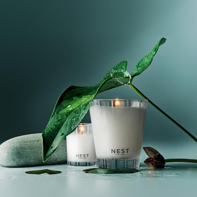 NEST New York Scented Classic Candle, Forest Rain - 8.1 oz - Up to 60-Hour Burn Time - Reusable Glass Vessel - Bloomnest