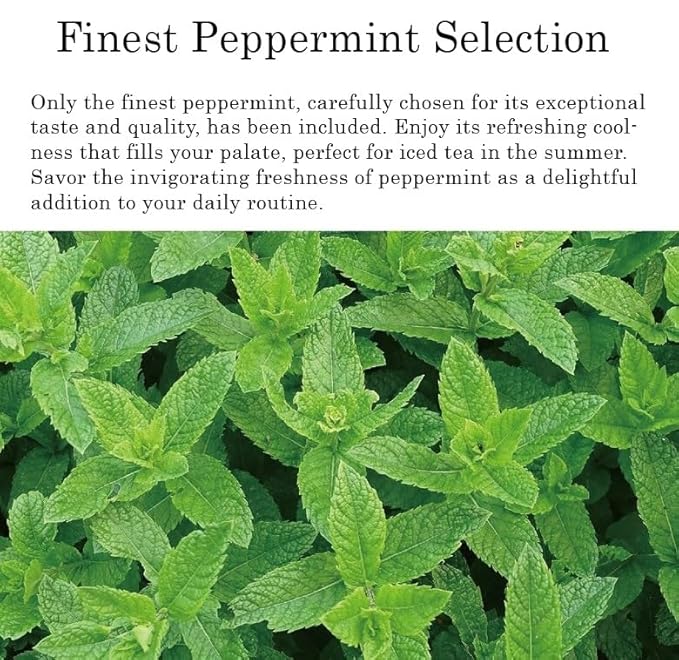 Damtuh Peppermint Tea – 100% Pure Peppermint, Caffeine-Free Herbal Tea, 10 Tea Bags (1g each) - Bloomnest