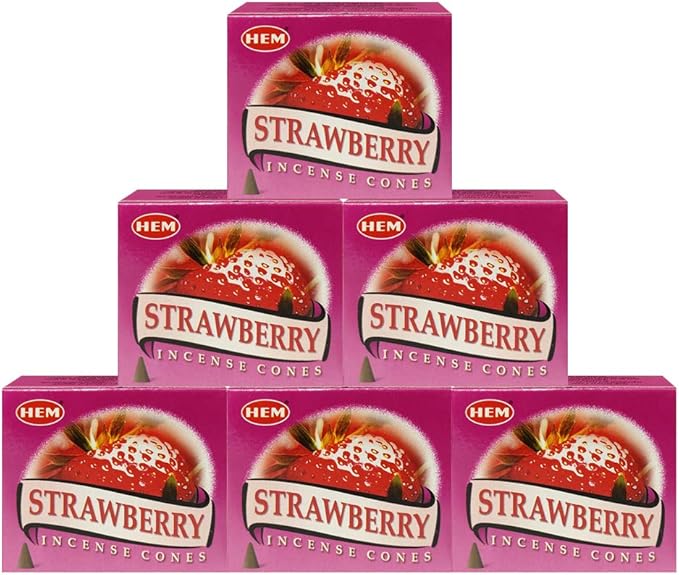 TRUMIRI Incense Cone Holder Bundle with Hem Strawberry Incense Cones - Pack of 6 (Approx 60 Cones) TRUMIRI