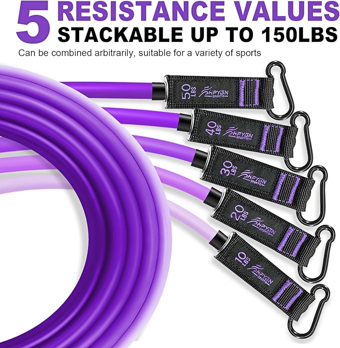 HPYGN Resistance Bands, Exercise Bands with Handles, Fitness Bands, Workout Bands with Door Anchor and Ankle Straps, for Heavy Resistance Training, Physical Therapy, Shape Body, Yoga, Home Workout Set - Bloomnest