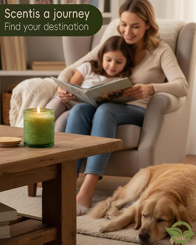 Balsam Cedar Scented Candles for Christmas Decor, Soy Scented Candle for Home Large Jar Candle, Aromatherapy Candle Over 60 Hours Christmas Candles Ideal Holiday Gift - Bloomnest