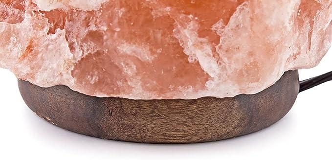 Needs&Gifts Himalayan Salt Lamp with Natural Himalayan Crystal Rock, Hand Crafted Wooden Base from Foothills of The Himalayas, Home Decor, Night Light & Gifts
