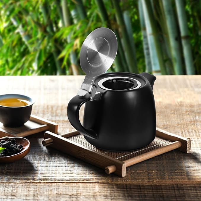 Small Ceramic Tea Pot with Stainless Steel Infuser Portable Tea Kettle Electric Ceramic Stove for Home Dorm Kung Fu