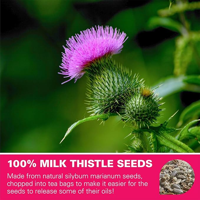 WT WEETEE Milk Thistle Tea Bags, Made with 100% Pure Milk Thistle Seeds, Natural Caffeine-free Herbal Tea Detox Tea 3g x 60 Counts - Bloomnest