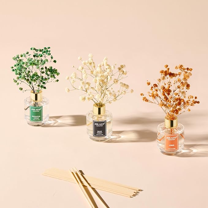 Airkeep Reed Diffuser Set of 3, Black Forest Eucalyptus Moss Citrus Oil Reed Diffusers for Bedroom Living Room Office Aromatherapy Oil Reed Diffuser for Gift 50ml - Bloomnest